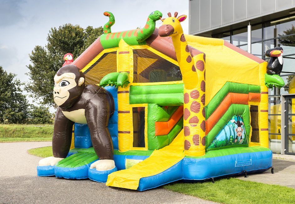 MP-Safari-mit-Dach-1