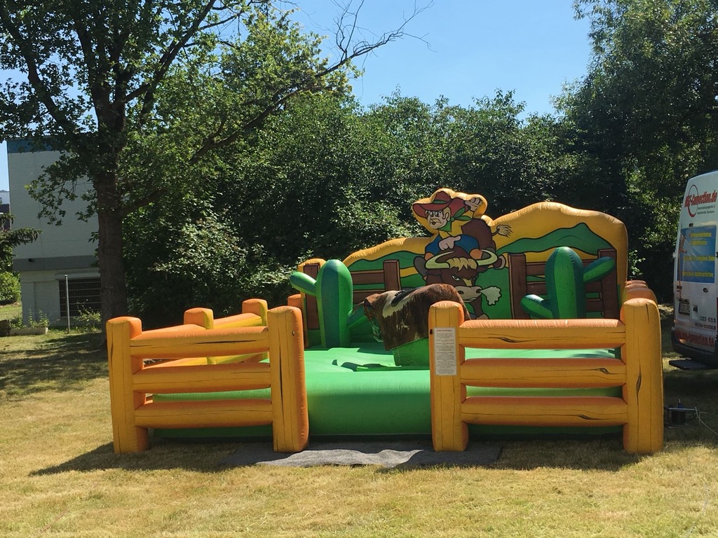 bullriding1