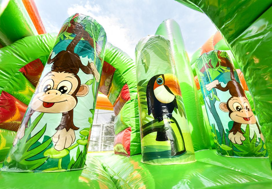 multiplay-safari-9-940×652-1