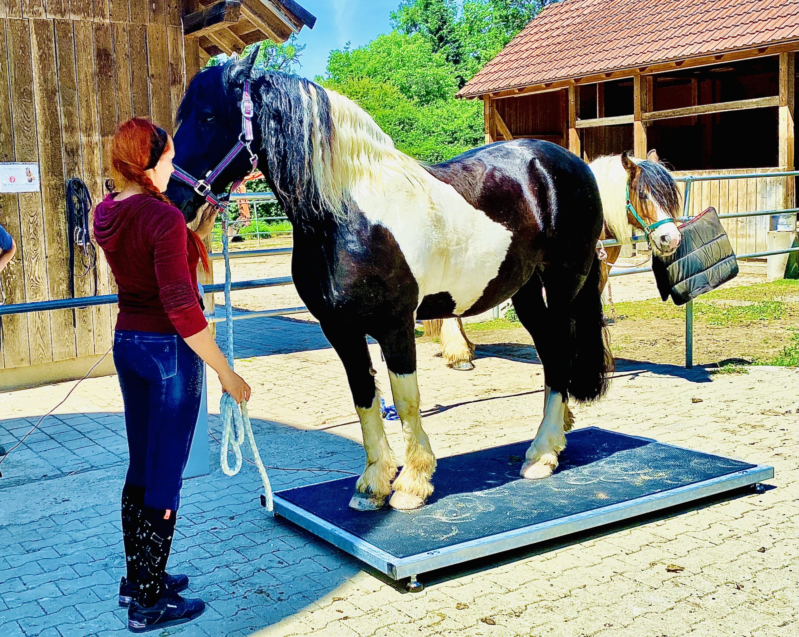 8BD8224D-2E00-420B-B31F-50D6508E870B