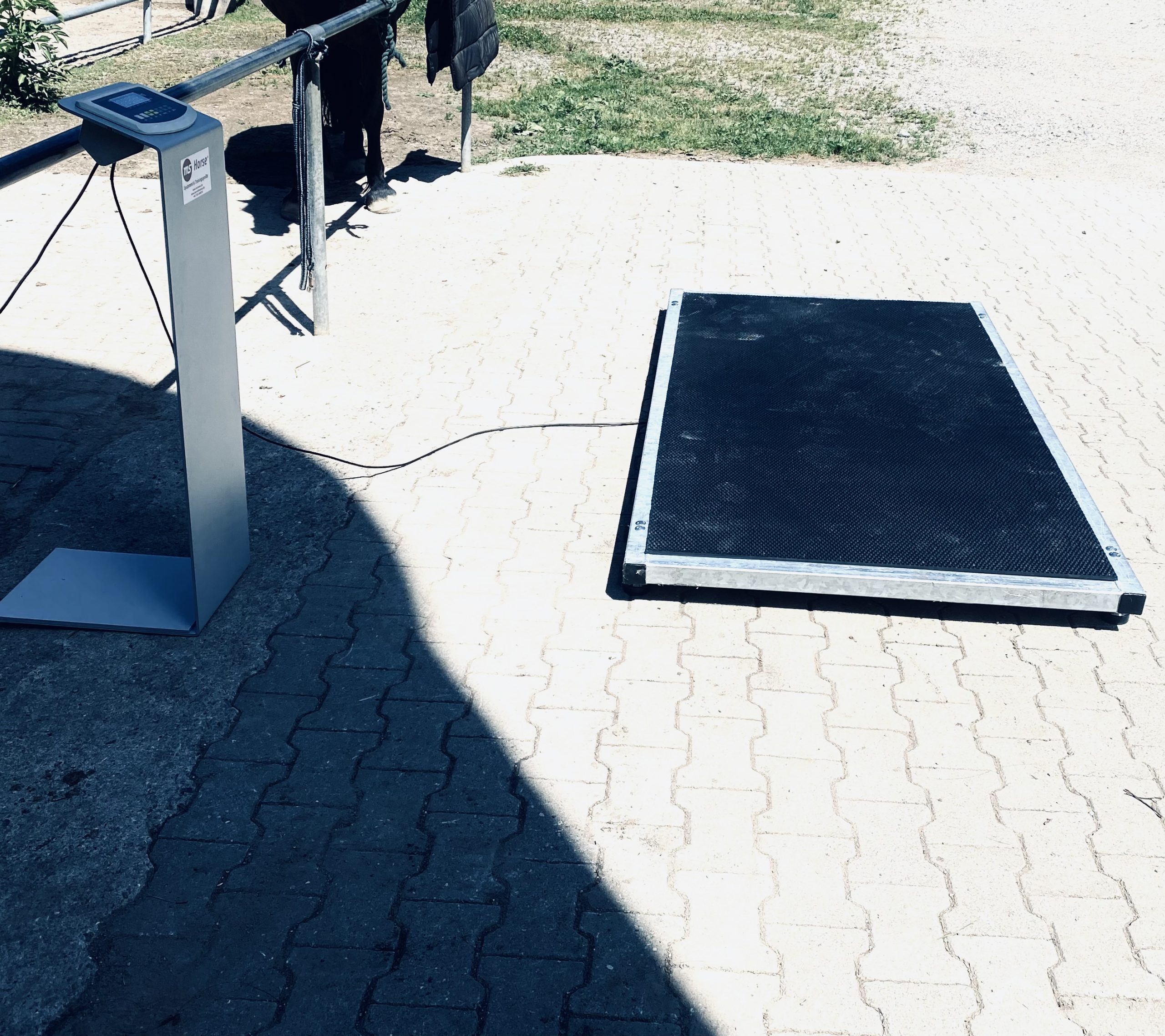 EB44B961-A117-4833-AE8A-F253269676B1