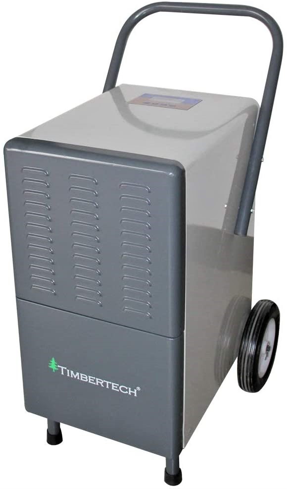 T1