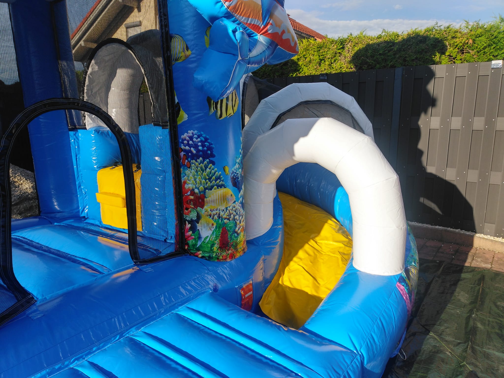 IMG-20211210-WA0002
