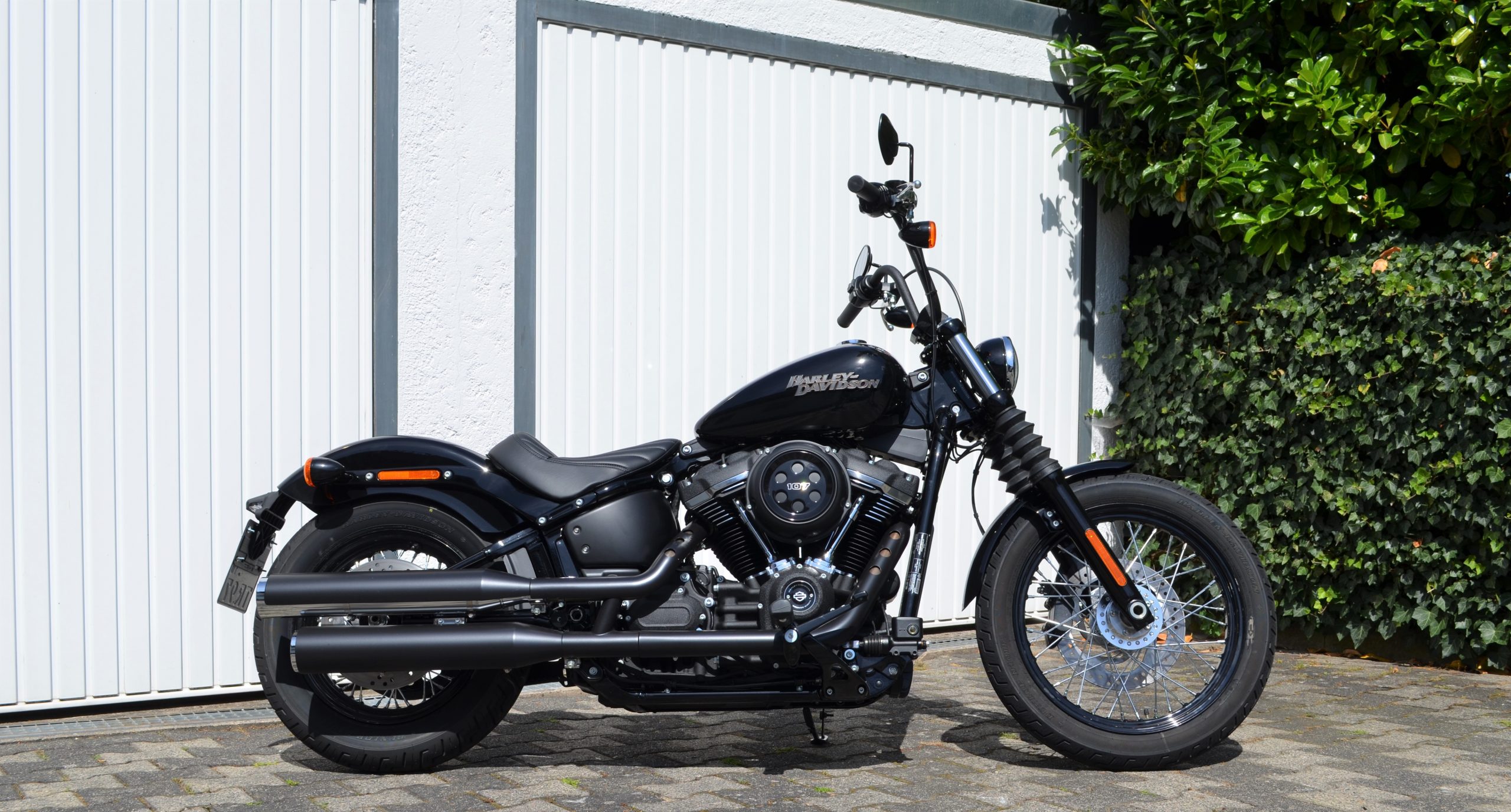 Harley